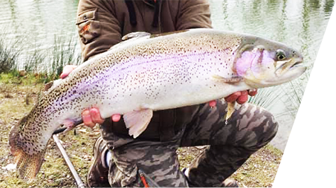 pêche à la truite